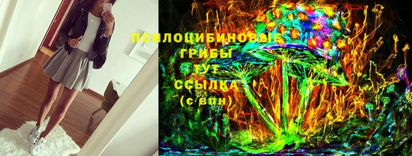 прущие грибы Надым
