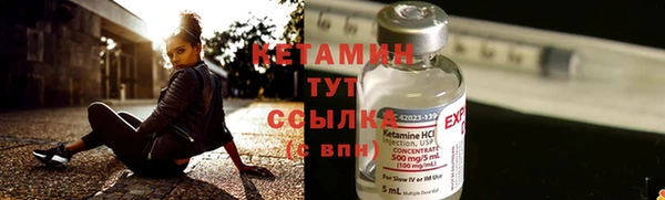 прущие грибы Надым