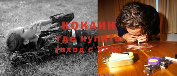 прущие грибы Надым