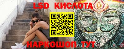 Альфа ПВП Кандалакша
