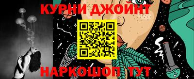Альфа ПВП Кандалакша
