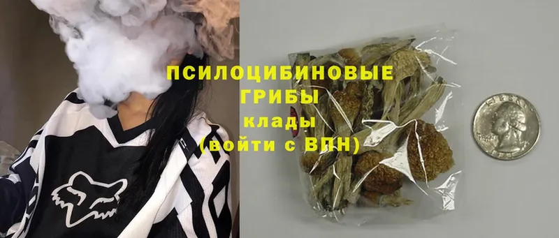 Галлюциногенные грибы Psilocybe  ссылка на мегу маркетплейс  Нарьян-Мар 