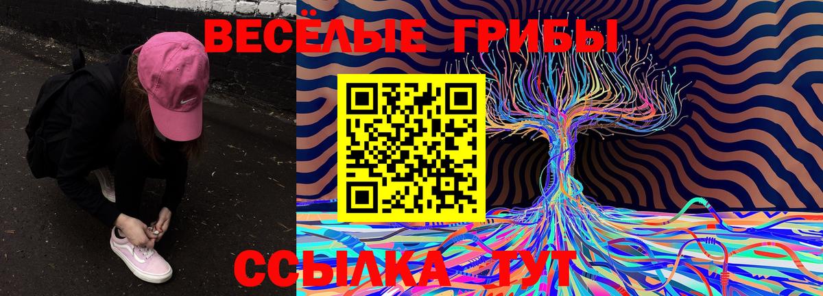 Псилоцибиновые грибы Cubensis  Вход с VPN  Нарьян-Мар  Псилоцибиновые грибы Magic Shrooms 
