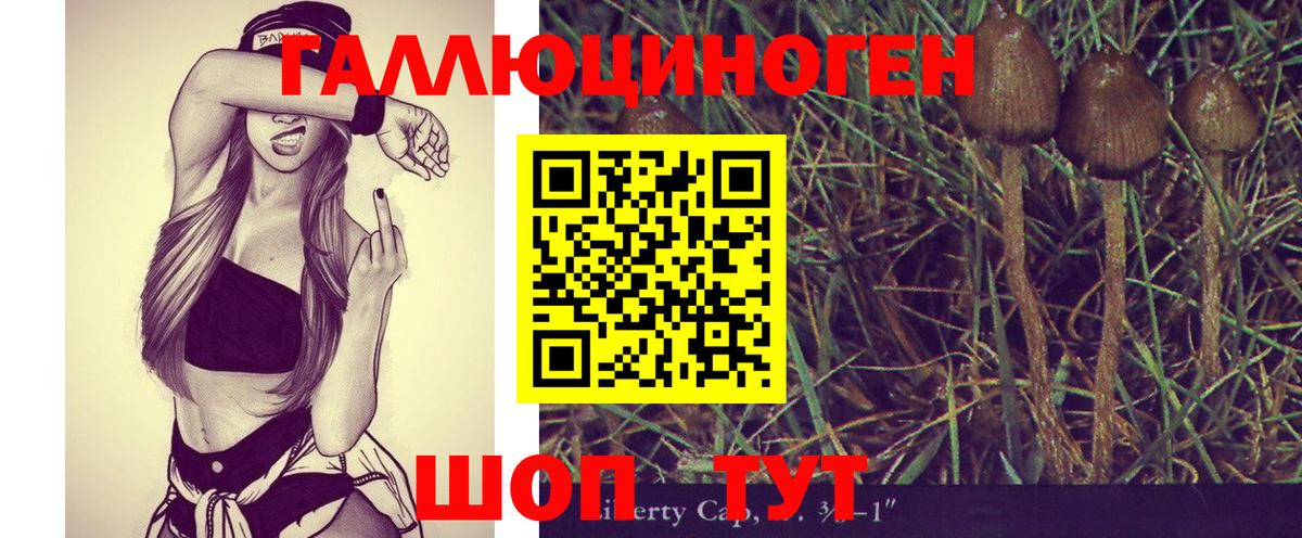 цена наркотик  Нарьян-Мар  Псилоцибиновые грибы Psilocybine cubensis 