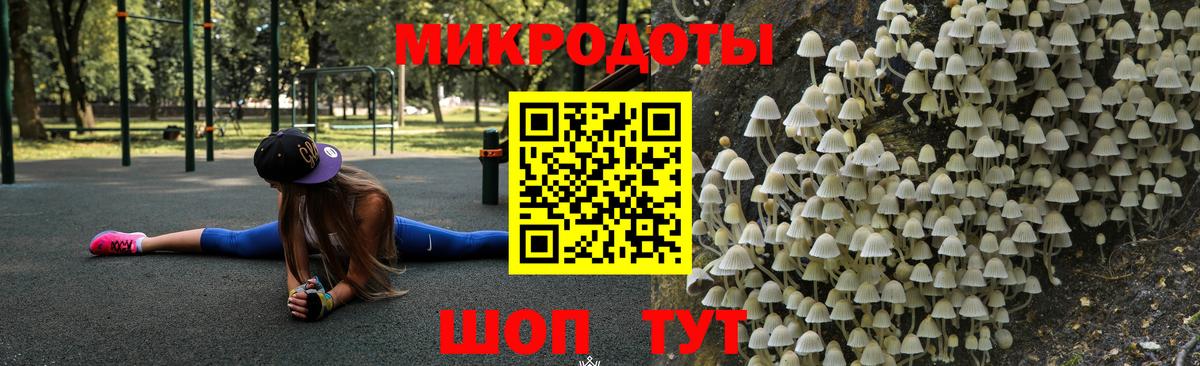 Псилоцибиновые грибы Cubensis Нарьян-Мар